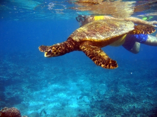 vacanza in catamarano alle Seychelles